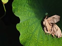 -西南交通大学(九里校区)