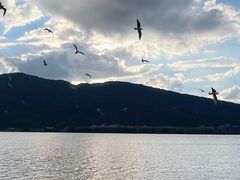 -海埂大坝