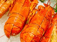 -长春高新益田福朋喜来登酒店·宜客乐标帜餐厅