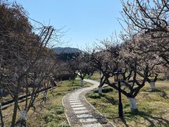 -白马涧龙池景区