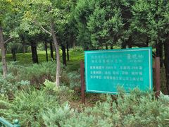 -北坞公园
