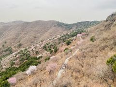 -香山公园
