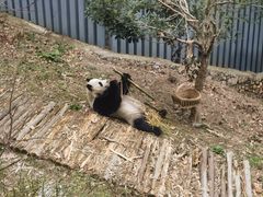 -黔灵山公园