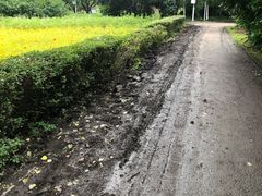 -黑龙江省森林植物园