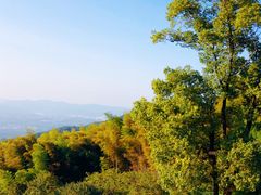 -缙云山景区