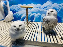 -成都浩海立方海洋公园