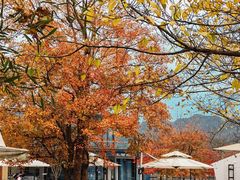 -东钱湖旅游度假区