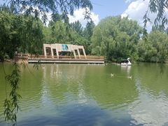 -沈阳鸟岛