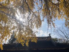 -苏州上方山国家森林公园