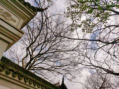 -上海佘山国家森林公园天马山园