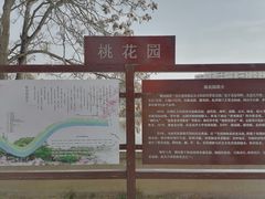 -桃花堤公园