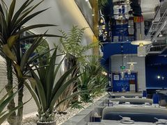 -兰湘子·湘菜小炒(崂山丽达店)