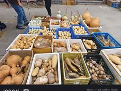 -中环花鸟鱼虫市场