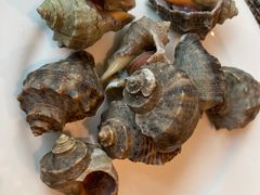 -银帆宾馆-自助餐厅(金马路店)