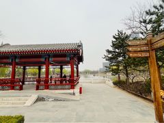 -西海子公园
