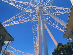 -墨尔本之星 观景摩天轮