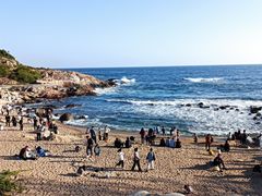 -广东惠东海龟国家级自然保护区