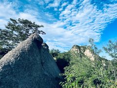 -大岭沟猕猴桃谷风景区
