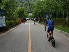 -火炉山森林公园