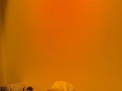 -沐森 •疗愈头疗馆(打浦桥店)