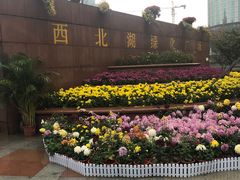 -西北湖绿化广场