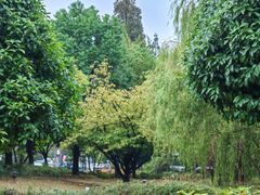 -凤城河风景区