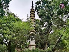 -西泠印社