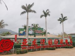 -亚龙湾国际玫瑰谷