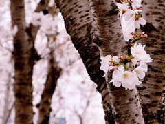 -龙美术馆西岸馆-停车场