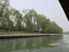 -皇家御河游(紫御湾码头)
