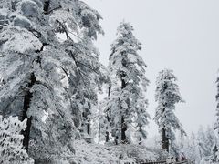 -瓦屋山景区
