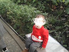 -南宫五洲植物乐园