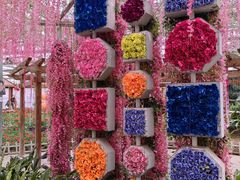 -南和农业嘉年华