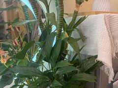 -岚魅儿·洗头头疗·按摩SPA(金光华店)