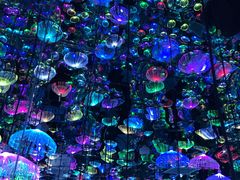 -天津梵高星空艺术馆(天河城旗舰店)