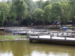 -中国西峡恐龙遗迹园