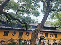 -普陀山风景名胜区-法雨禅寺