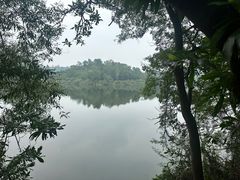 -大屏嶂森林公园