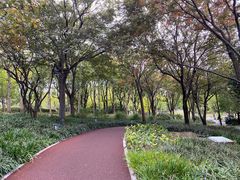 -上海山野camping·户外天幕烧烤·团建拓展营地