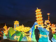-广西壮族自治区药用植物园