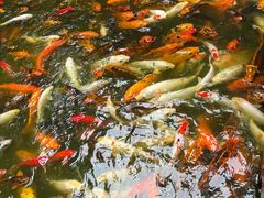 -天河潭旅游度假区