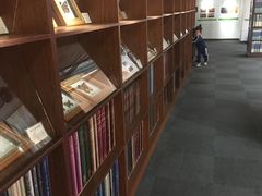 -上海大自然野生昆虫馆(东方明珠·爬宠昆虫探索中心)
