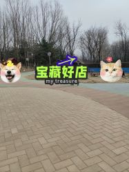 -酷酷兔少儿拓展天地