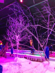 -圣名游乐城冰雪大世界
