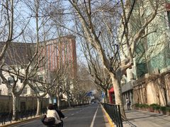 -复旦大学附属中山医院(西院区)