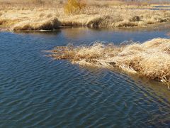 -泸沽湖国家级风景名胜区走婚桥