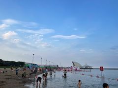 -碧海金沙