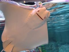 -沈阳海洋探索中心