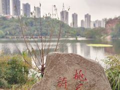 -重庆彩云湖湿地公园