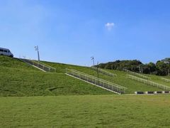 -佛手湖郊野公园
